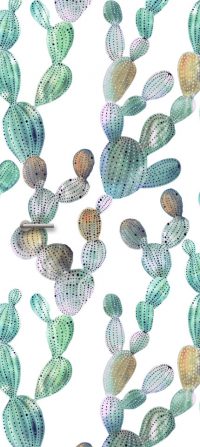 deursticker cactus